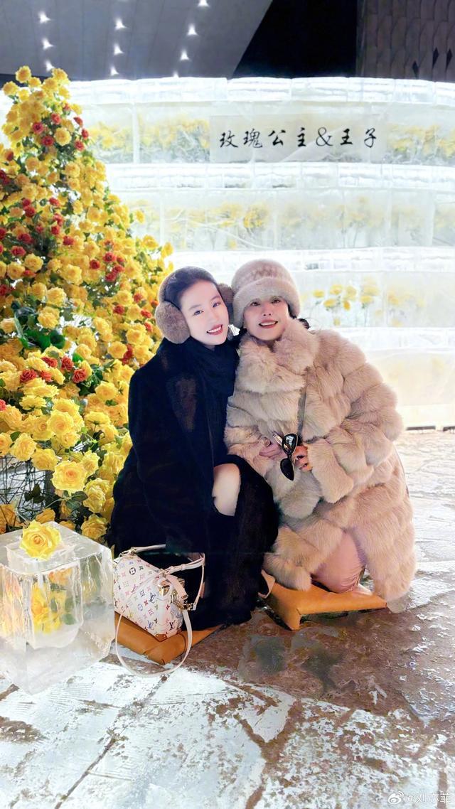 母女二人宛若姐妹花 温馨之情溢于言表 与冰霜融化的黄玫瑰媲美！刘亦菲与母亲合照