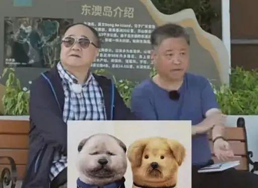 莫言的火爆年终总结揭示人生真谛 与年轻人共话成长