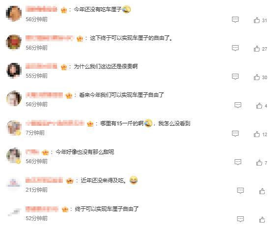 需求低迷 车厘子价格遭遇断崖式下跌 供应激增