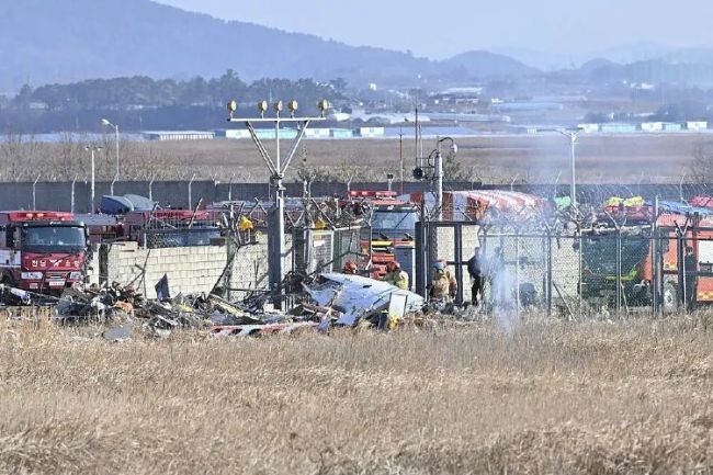 韩亚航空坠机前乘客最后对话曝光 鸟卡机翼导致无法降落
