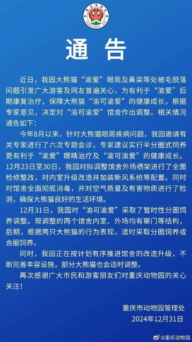 探秘重庆动物园 分圈饲养渝可渝爱 呵护大熊猫健康成长
