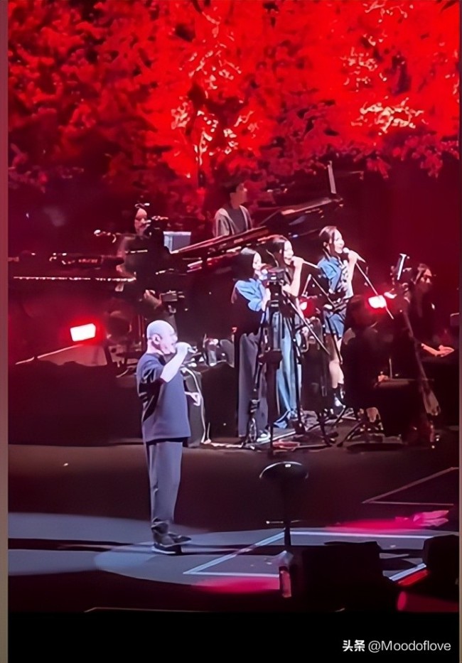 书写温情守候 老伴笑开花！寒冬里大爷谦让刀郎演唱会票