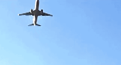 怀疑撞鸟引发悲剧 韩客机失事当天仅2人负责防鸟