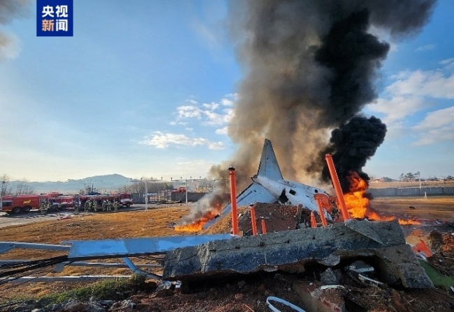 鸟击!韩国客机起落架疑受飞鸟撞击 低空低速阶段风险最大