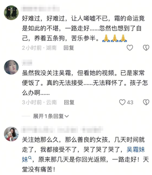 死因曝光令人痛心 悲剧落幕 41岁贵州女网红吴霜去世 孩子尚不满月