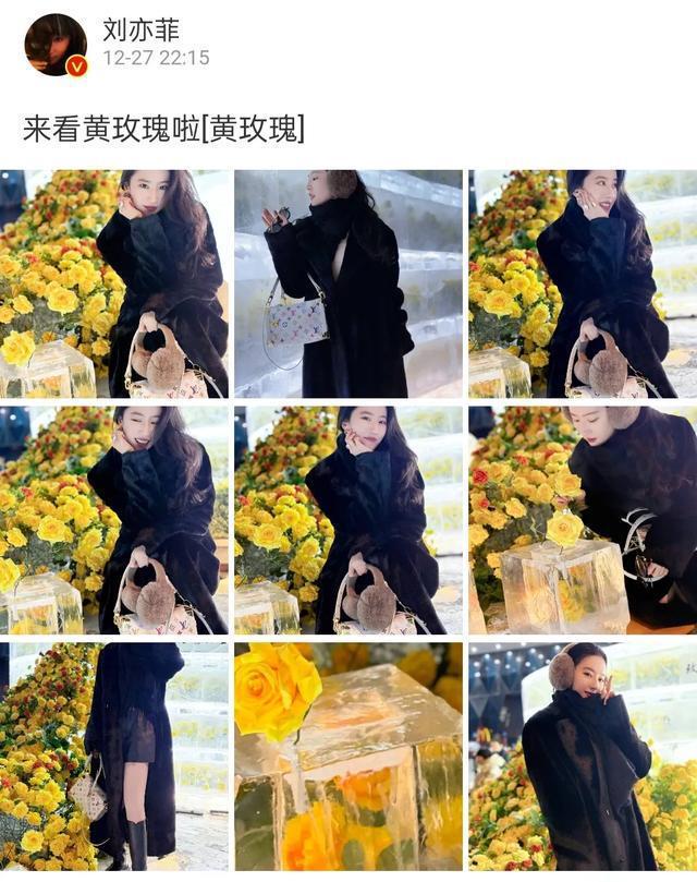 母女二人宛若姐妹花 温馨之情溢于言表 与冰霜融化的黄玫瑰媲美!刘亦菲与母亲合照