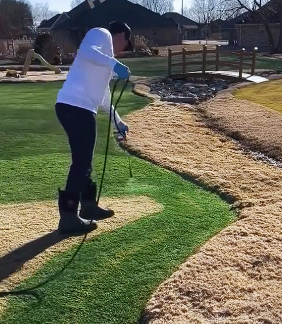 广州公园喷涂增绿 枯草变绿草 预制春天引热议