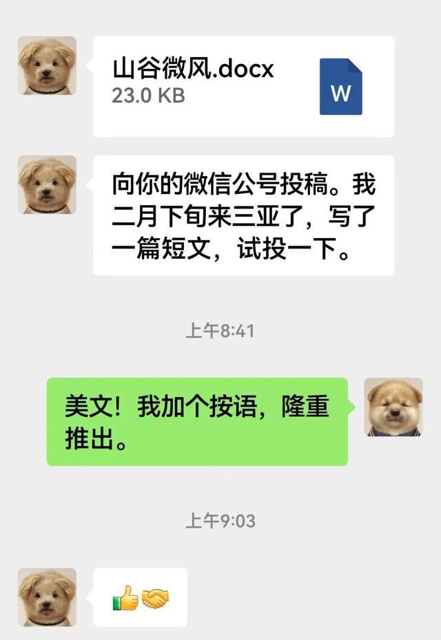 莫言的火爆年终总结揭示人生真谛 与年轻人共话成长