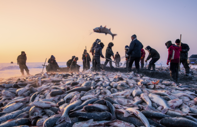 南方妹子的吉林查干湖之旅 滑出乐趣 探索鱼味鲜美的秘密