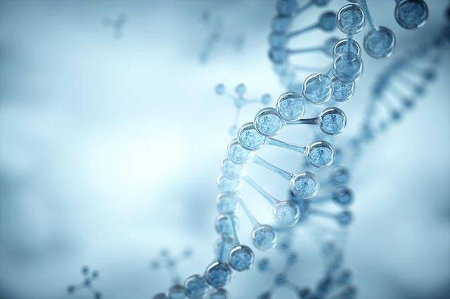 粉碎十大科学流言 揭开真相背后的科学