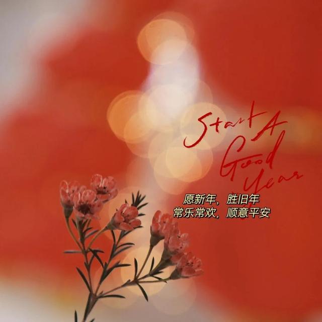 成败之钥 成长之路 2024回顾