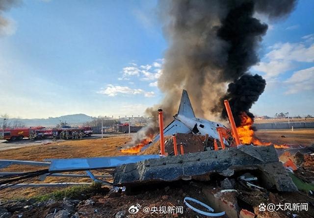 加强机场设计和应急响应 保障空中安全 航班起降驱鸟举措至关重要