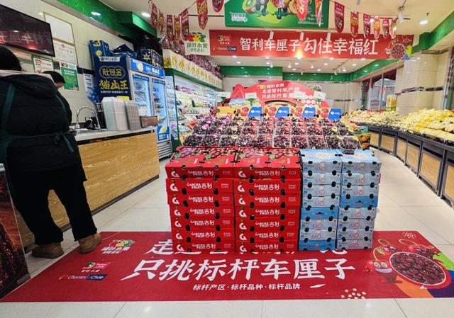 智利车厘子新产季登陆长沙 为品质生活增添甜蜜新选