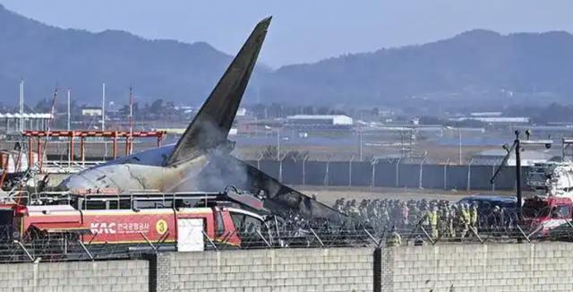 外交部回应 韩客机失事疑因鸟击 致179人遇难 悲剧重创