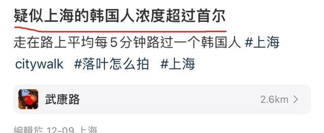 韩国人跨年首选上海 免签政策助推周末游热潮