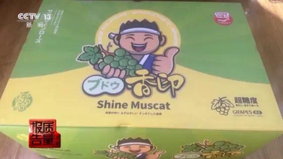 小心陷阱!108元“新西兰苹果”竟是“冒牌嘎啦果”