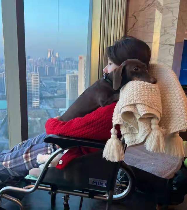 努力康复中 魏笑晒赵露思康复近照