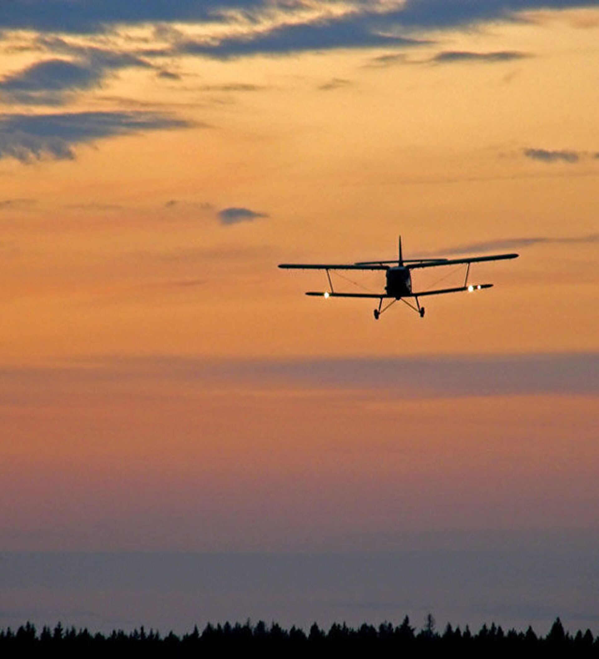 美国一客机起落架舱内惊现两具冷冻尸,引发调查与猜测