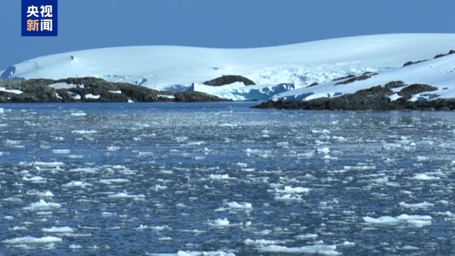 2024年创下有记录以来最热年的新高：极端天气加剧气候危机