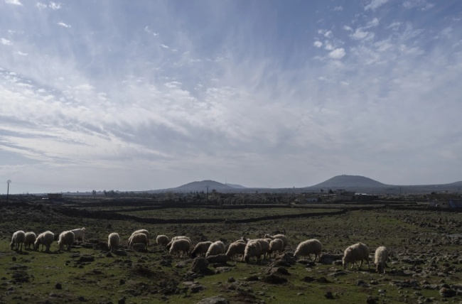以军趁乱入侵叙利亚领土,被占区民众饱受折磨,无处求助