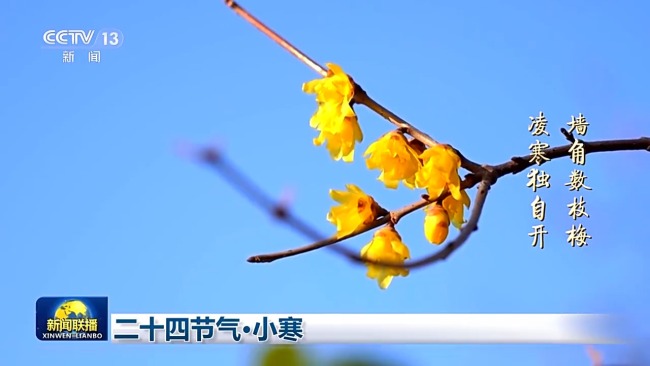 二十四节气·小寒:虽寒犹美的冬日画卷