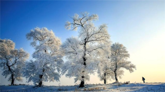 三九天都不冷，有何预兆？