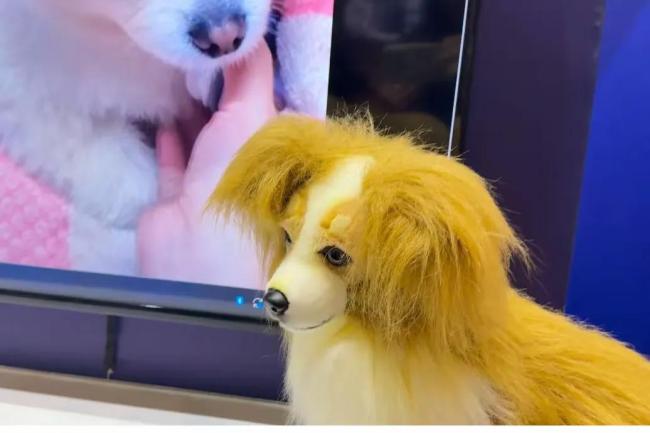 中国机器狗在展会大放异彩：一天内斩获众多海外订单，彰显智能科技的无限魅力