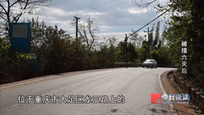 男子被车撞击未及时就诊,6日后离世,法院判例揭示车辆事故责任分担原则
