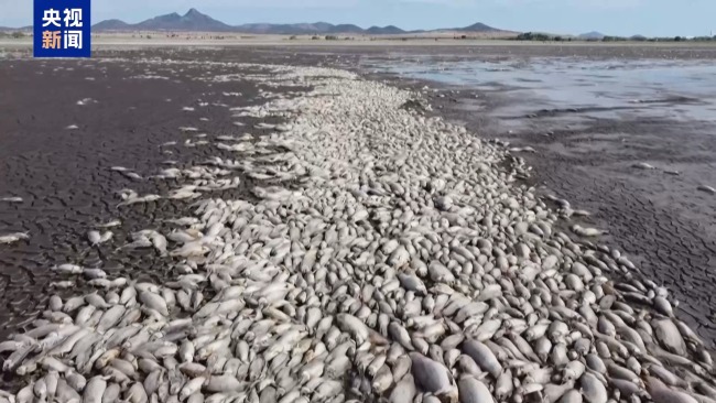 2024年创下有记录以来最热年的新高：极端天气加剧气候危机