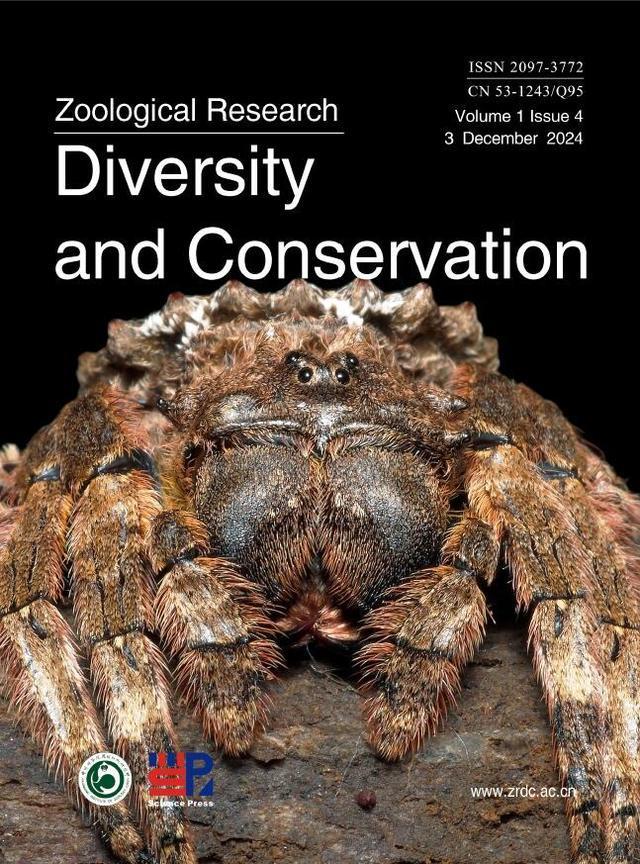 周杰伦超强追星 用16首名曲命名16个蜘蛛新种