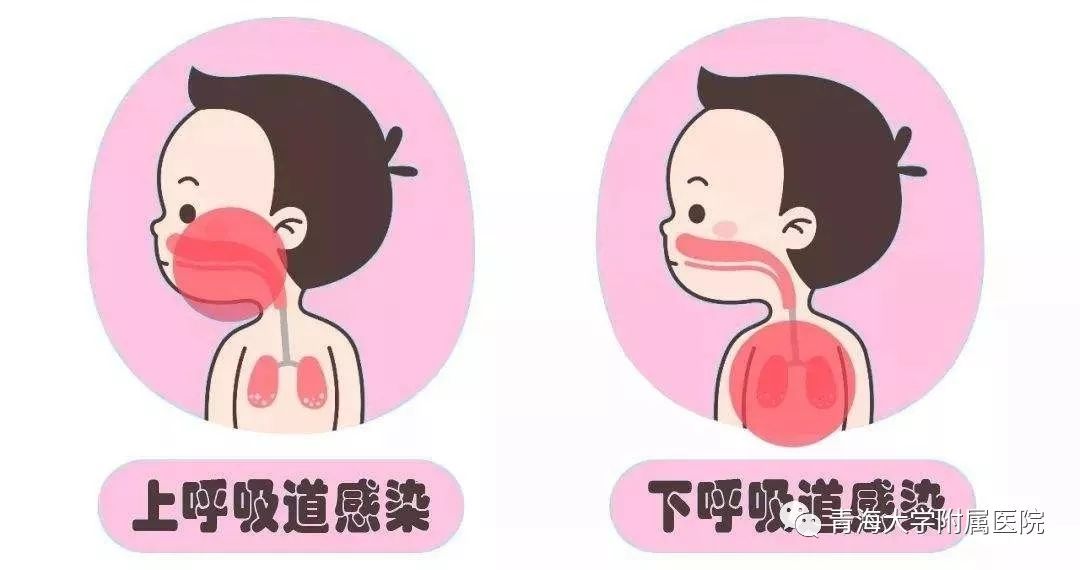 呼吸道传染病最新研判：流感总体低于去年，无新发传染病