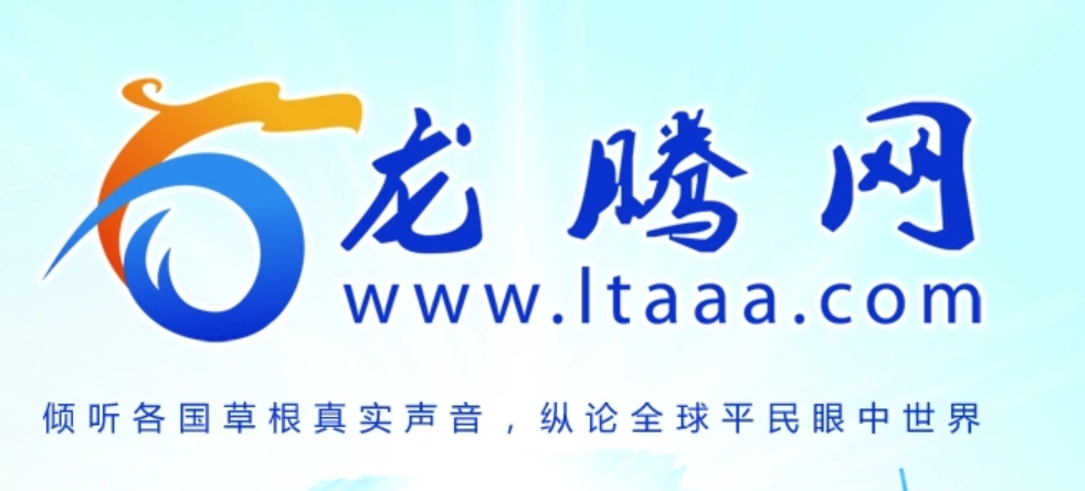探秘龙腾网：连接中外民间的信息桥梁